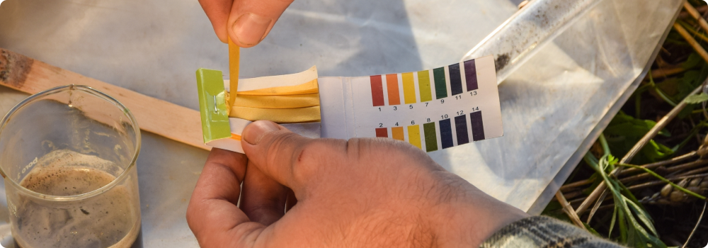 A soil testing kit
