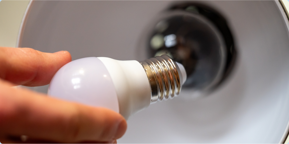 microwave lightbulb